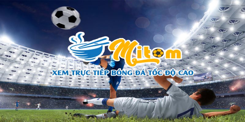 Xem bóng đá tại Mitom TV trải nghiệm trọn vẹn, không có quảng cáo